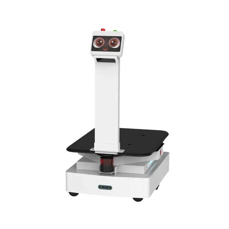 LronBov · Doručovací robot s vysokou nosnosťou a 3D navigáciou